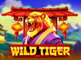 Wild Tiger game icon